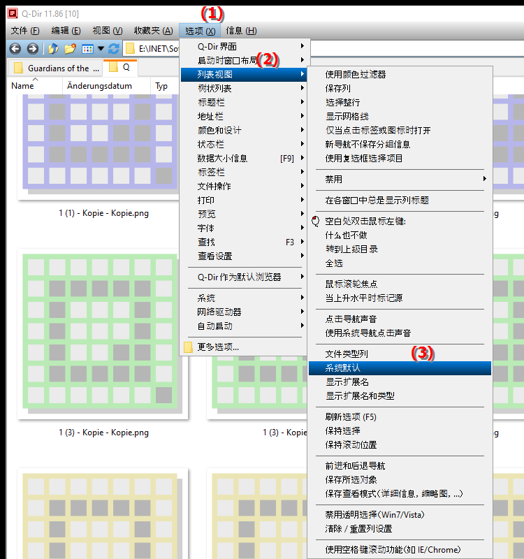 重置文件资源管理器 Q 中列表视图的文件类型列
